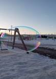 20230117_113339 (Large).jpg (378941 bytes)